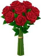 Rosenstrauss Rosenstrauss